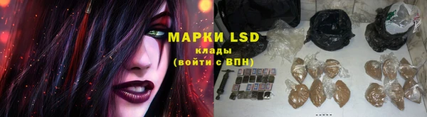 МДПВ Краснослободск