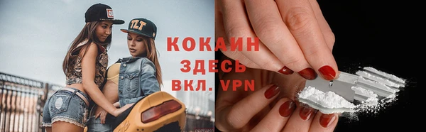 МДПВ Краснослободск