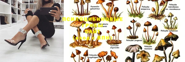 ешки Костерёво
