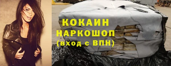 МДПВ Краснослободск